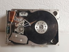 Absolute Seltenheit und